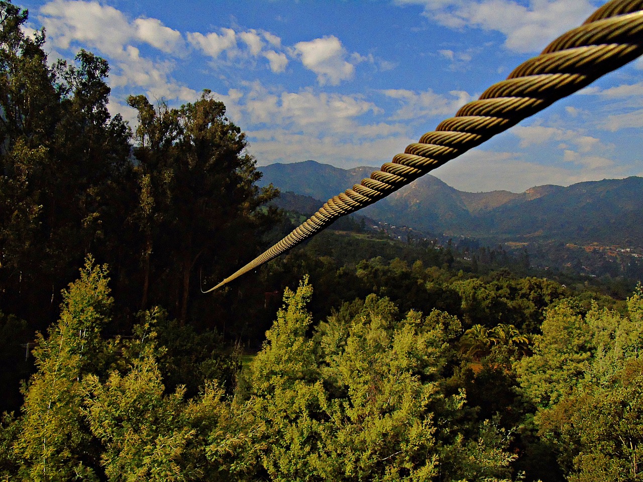 zipline, canopy, canopi-2399759.jpg